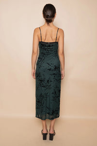Mesh Velvet Midi Dress