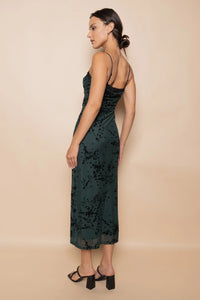 Mesh Velvet Midi Dress