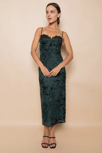 Mesh Velvet Midi Dress