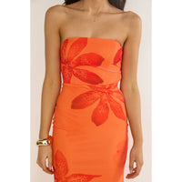 Orange Blossom