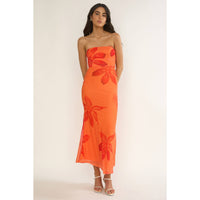 Orange Blossom